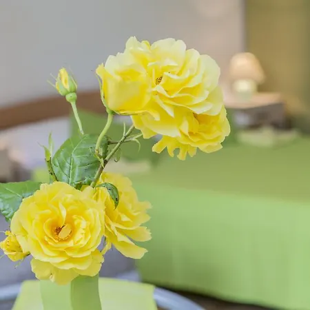 Appartamento Istria *